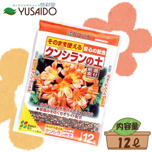 Ԃ NV̓y 12LNV Nq |{y ԋ [ICg y K[fjO |  v^[ 