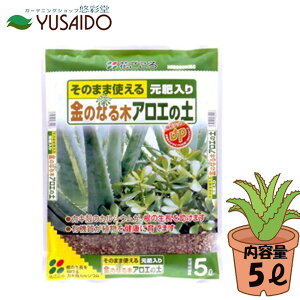 y|Cg5{zԂ ̂Ȃ؁EAG̓y 5LAG AGx L_`AG ҂炸 |{y y py