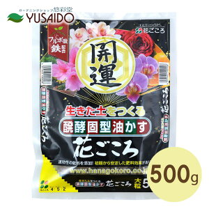 y|Cg5{zyŌ^ Ԃ 嗱 500g  Ԃ炩 엿 y n Ō`   ǔ  C S t{_ ϗtA  K[fjO |  v^[ A