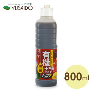 y|Cg5{zԂ L@vXt gbv 800ml L@ 엿 t ͉t ͍ t{_ t~_ y 񂽂 ʓI