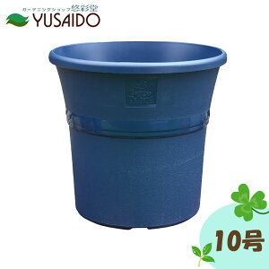 Ԃ fo[ [Y|bg 10 Aؔ v 傫 rbO TCY ^ o v^[ ΂ lCr[ F  uh  vX`bN  [Y |bg 10 12