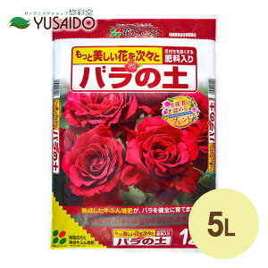 Ԃ o̓y 5L o y |{yo ΂ KN p py |{y y ty