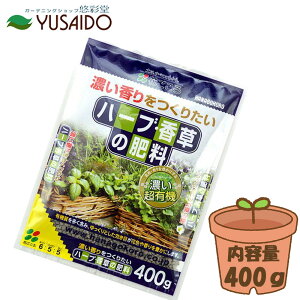 y|Cg5{zԂ n[uE̔엿 400gL@100 100 z y  L@R100  ǔ  K[fjO | v^[  