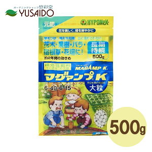 y|Cg5{znC|lbNX }O@vK 500g 嗱x Ɍ 엿 Ԓd 񂹐A ϗt A  ʎ   y`jA rI pW[ gjA Cp`FX [j