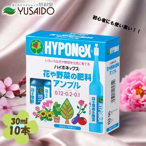 nC|lbNX@Ԃ؂̔엿Av@30mlx10t̔엿  ȒP     ϗtA  v^[ A Aؔ K[fjO | S