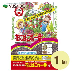  Ԃɂ͂ 1kg엿 | A K[fjO ƒ؉  x_ ͔| c n   ƒp  A~m_ L@