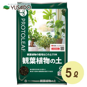 培養土 用土 観葉植物の土の人気商品 通販 価格比較 価格 Com 培養土 用土 観葉植物の土の人気商品 通販 価格比較 価格 Com
