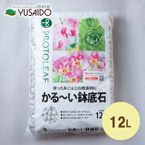 y|Cg5{zvg[t ` 12LVRf  L yǍ ʋC r h~ 悤 K[fjO | v^[ A Aؔ