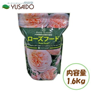 vg[t [Yt[h 1.6kg o̔엿 L@  ǔ {ӂ L@z엿 엿 y A؋ A v^[ 