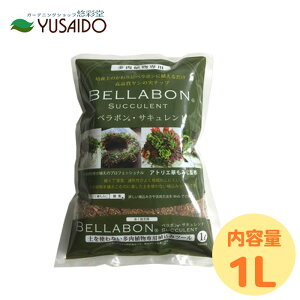 tWbN x{ETLg 1L ApyV̎`bv y |py i y MUO o NX}X[Y VRV̎ VR100 񂹐A RRV `bv 