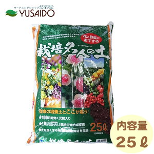 RpȊw ͔|l̓y 25L |{y ӂӂ Y  ʒ y y  S͂ SCI \ o[N ƒ؉ |py A   ƒ؉ | K[fjO y 