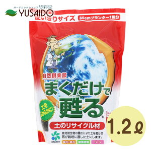 RpȊw ܂S ỹTCN 1.2LRy ӂӂ ȒP Óy Đ ėp TXeBiu GR eco  |{y v^[ A Aؔ |bg  Ԓd Aւ y