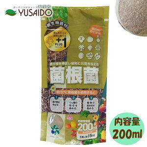 y|Cg5{zRpȊw vX1 ۍ 200mlvX +1 PLUS1  ۍێ Jr LmR z͌ y yǍ ۊ ʎ ʕ ϗtA  o  t 