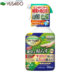 ZFw| }C^[t Voj[hV[ V[ 900ml []G  Ő 엿 Őp  ʎ   ł̏ { G΍ Gގ