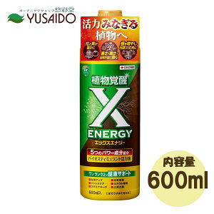 y|Cg5{zZFw| X-ENERGY 600ml ߉tGbNXGiW[ ͉t i yP 瑣i A A AS  oCIXeB~g ~l⋋  