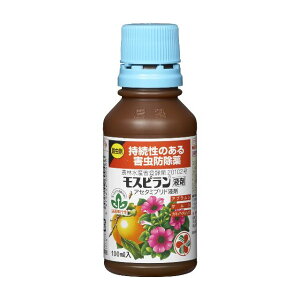 y|Cg5{zZFw| Xst 100ml E  Q h   ʎ Ԗ  