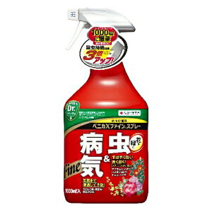 y|Cg5{zZFw| xjJXt@CXv[ 1000ml