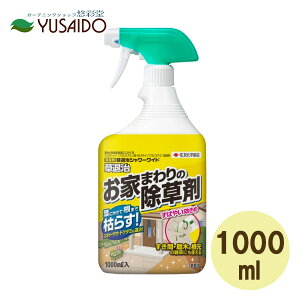 ZFw| ގ V[Ch Xv[ 1000ml []  G ގ s Uz G  K[fjO |   v^[