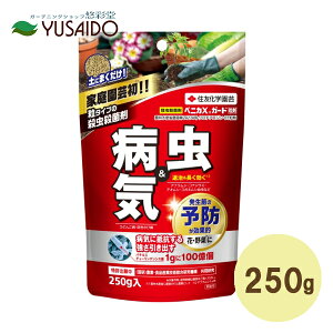y|Cg5{zZFw| xjJXK[h 250g TEEۍ