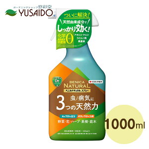 ZFw| xjJi`Xv[ 1000ml o n[u  ϗtA K[fjO ԕc ʎ I[KjbN R VR   Xv[ Vi aC lߑւp܂