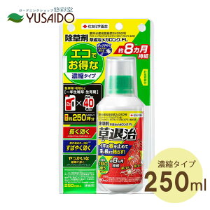 [] ގ KOFL 250ml (ߗpt) (ZFw|)߂^CvŌoϓI&RpNgI؂̉ɂgđU8ʎ
