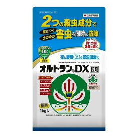 住友化学園芸 オルトランDX 粒剤 徳用1kg