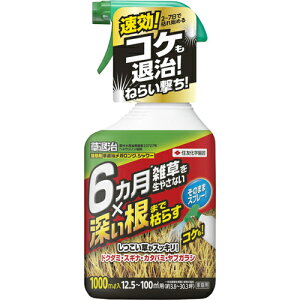 y|Cg5{zZFw| ގ KOV[ Xv[ 1000mL []