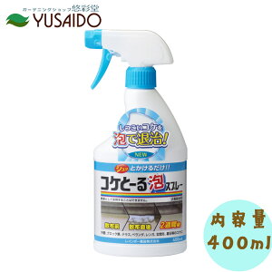 |Cg5{C{[i RPƁ[AXv[ 400ml [RPp]쏜 A^Cv O ubN eX x_ K   ^C GNXeA y A t Uz [