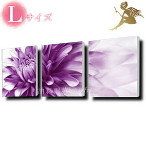 yGzyǊ|zy菑zyGzyizyGzG@CeA@yzw_@CeA@A[gplxy3plSET@̂ԁ@LTCYzwA[gpl@ԁ@