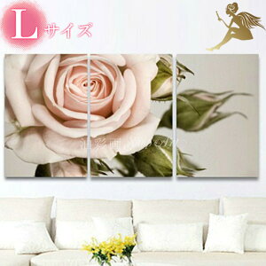 A[g Ǌ|yGzy菑zyGzԁyizyGzyǊ|zG@CeA@yzw_@CeA@A[gplx3plSET sÑo@LTCYyA[