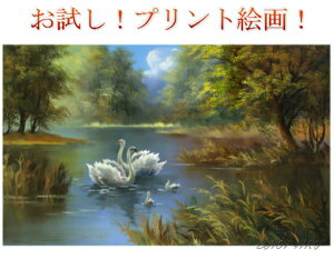 ʌI@I@IXX@vgG@̌΁@܂Ŗ{̖G