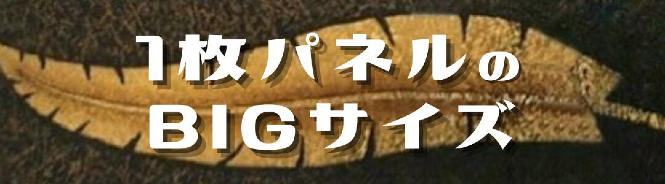 1パネルのビッグサイズ