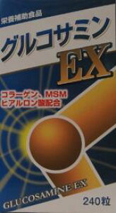 N  CɂȂ ORT~EX 240