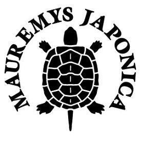 楽天市場 イシガメ クサガメ ゼニガメの通販