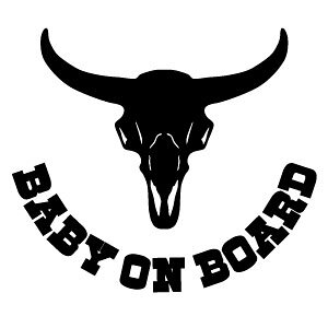 y2g BABY ON BOARD 0290iԂ񂪏Ă܂j oC\XJ JbeBOXebJ[ 16cm×13.9cmzBABY IN CAR XebJ[B