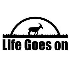 【カッティングステッカー Life goes on ver.07（人生は続く）2枚組 幅約19cm×高約9.8cm】ハンドメイド デカール ライフゴーズオン ステッカー アウトドア。