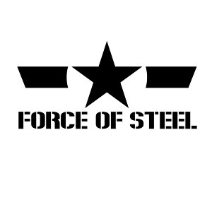 yFORCE OF STEEL 151 JbeBOXebJ[ ~jTCY 3g 11cm×5.4cmz~^[XebJ[