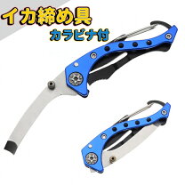 楽天市場】イカ 釣り 道具一式の通販