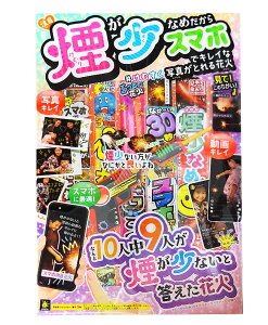 Ȃ߃X}zŃLCɎʐ^B莝ԉ΃ZbgijySF-Tzyԉ΃Zbgzy莝ԉ΁zyei ii ̑z