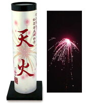 楽天市場】家あげ花火の通販 
