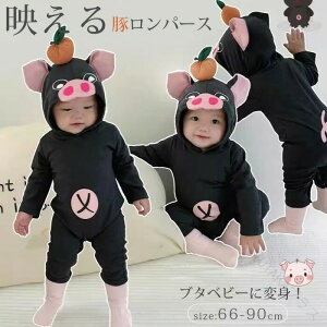 nEB RXv  xr[  u^ p[X RX`[ ߑ Ԃ LbY xr[ Ȃ肫胍p[X Jo[I[ {fB[X[c LbY   t[ht 