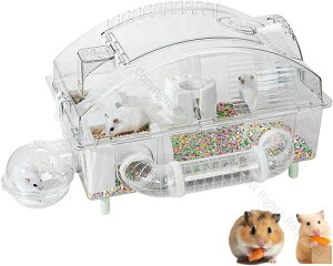 nX^[ P[W P[W Zbg SʃNAŌ₷gbvhAt ȒP EoɂʋCǍD KLX {g я gl 񂵎 Vя܂7_Zbg 