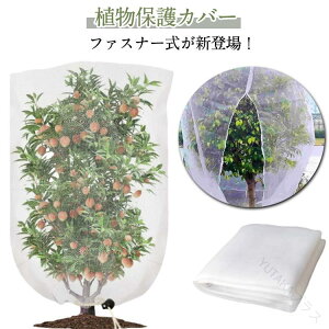 AیJo[ Q΍ 9TCY 悯lbg } ʎ͔| hlbg t@Xi[t h 悯lbg ʎ bV ؉v^[p | Aی  u[x[ イ