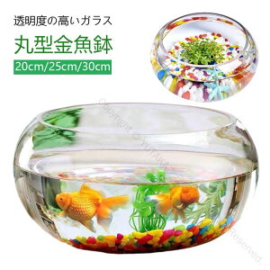 高透明度 丸型金魚鉢 水槽 小型水槽 飼育水槽 ミニ水槽 ガラス製 メダカ 透明 おしゃれ 丸鉢 金魚 ベタ メダカ鉢 花瓶 フラワーベース 和風 可愛い テーブル用 アクアリウムボウル 観葉植物