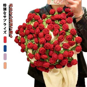 ԑuPbg 160cm 唻 99փo ͂Ȃ u[PuPbg jbgѕz j҂ }`Jo[ \t@Jo[ xbhJo[ v[g a o^C 蕨 i 