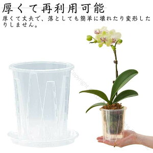 h~ m 6Zbg  ^ ʋCQ Ӓ̐AւɍœK a10cm12cm14cm16cm vX`bN rt ӒpłȓNA AϗtAΉ Mt