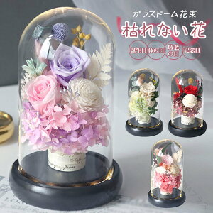 vU[uht[ KXh[ {̉Ԏgp ԑ t[Mtg Ō͂Ȃ a v[g zCgf[ ̓ hV̓ LO 蕨ɍœK