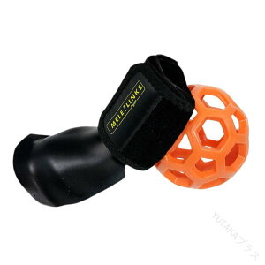 StXCOg[i[{[ StXgg[i[ Kc[ St@[Mtg v[gp \g[jOpi XCOɍœKȗK lC̃StKObY