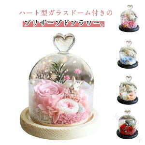 vU[uht[ n[g^ KXh[ t[Mtg  c a  Mtg ͂Ȃ hV̓ v[g t[AW N} ʂ  Fl җj Ď  