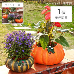 Aؔ K[fjOIuWF K[ffR[V A Ap Ap v[gpj[NȐAؔ őϋvQ̃K[fjOpi g₷